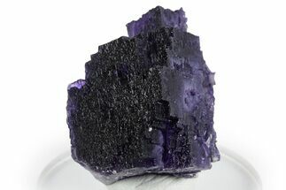 Dark Purple Fluorite Crystal Cluster - Cave-in-Rock, Illinois #347811
