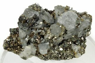 Glittering Pyrite Crystals on Quartz - Peru #347601