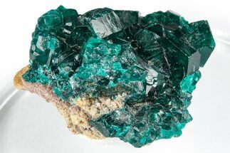 Sparkly Emerald-Green Dioptase Crystal Cluster - Congo #347853