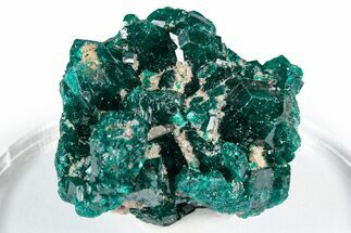 Sparkly Emerald-Green Dioptase Crystal Cluster - Congo #347857