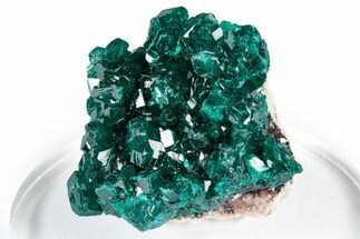 Sparkly Emerald-Green Dioptase Crystal Cluster - Congo #347863