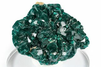 Sparkly Emerald-Green Dioptase Crystal Cluster - Congo #347876