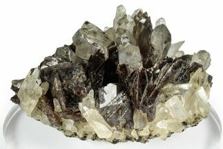Quartz Crystals on Axinite - Peru #347889