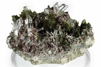 Sharp Axinite Crystal Cluster with Green Epidote - Peru #347933