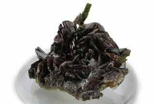 Sharp Axinite Crystal Cluster with Green Epidote - Peru #347845