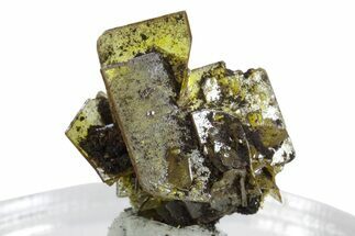 Yellow-Orange Wulfenite Crystal Cluster - Mexico #347978