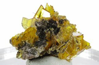 Glassy Yellow-Orange Wulfenite Crystal Cluster - Mexico #347982