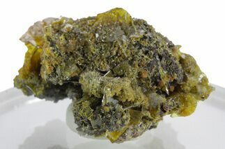 Yellow-Orange Wulfenite Crystals on Matrix - Mexico #347983