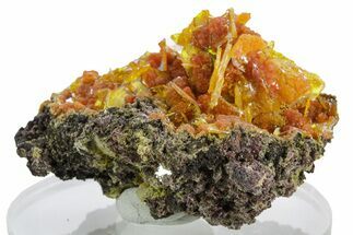 Botryoidal Orange Mimetite on Windowpane Wulfenite - Mexico #348004
