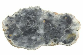 Lunar Meteorite ( g) Slice - Bechar #348174