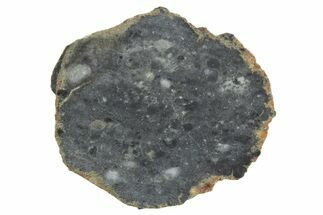 Lunar Meteorite ( g) Slice - Bechar #348175