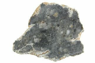 Lunar Meteorite ( g) Slice - Bechar #348178