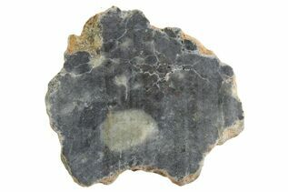 Bechar 003 Meteorites For Sale
