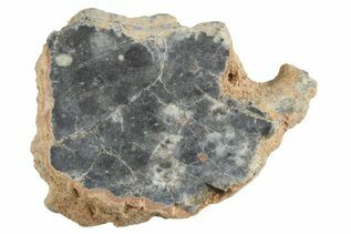 Bechar 003 Meteorites For Sale
