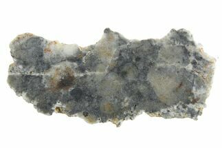 Lunar Meteorite ( g) Section - Bechar #348194