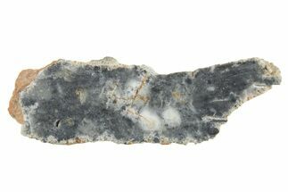 Lunar Meteorite ( g) Section - Bechar #348196