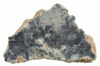 Lunar Meteorite ( g) Section - Bechar #348197