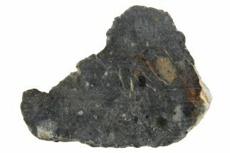 Lunar Meteorite ( g) Section - Bechar #348199
