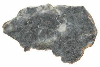 Lunar Meteorite ( g) Slice - Bechar #348226