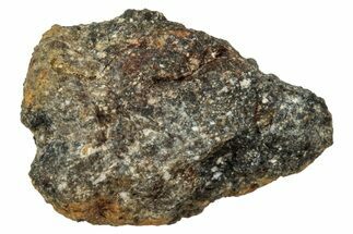 Howardite Meteorite ( g) - Bechar #348275