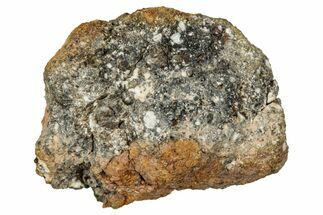 Howardite Meteorite ( g) - Bechar #348289
