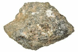 Howardite Meteorite ( g) - Bechar #348290