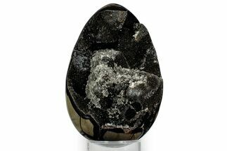 Septarian Dragon Egg Geode - Sparkly Black Crystals #348449