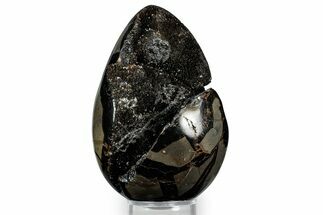 Septarian Dragon Egg Geode - Sparkly Black Crystals #348450