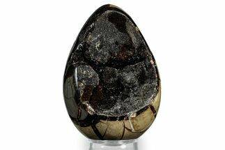 Septarian Dragon Egg Geode - Sparkly Black Crystals #348451