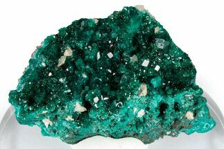 Gemmy Emerald-Green Dioptase Crystal Cluster - Congo #348539