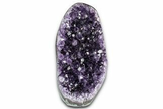 Free-Standing Amethyst Crystal Cluster - Uruguay #348674