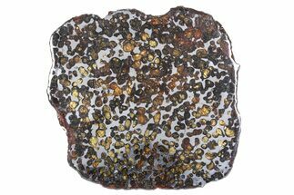 Polished Sericho Pallasite Meteorite ( g) Slice - Kenya #348853