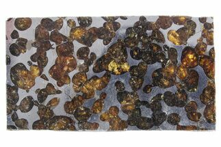 Polished Sericho Pallasite Meteorite ( g) Slice - Kenya #348915