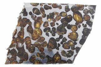 Polished Sericho Pallasite Meteorite ( g) Slice - Kenya #348919