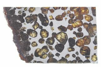 Polished Sericho Pallasite Meteorite ( g) Slice - Kenya #348922