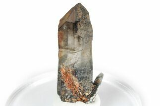 Smoky Quartz Crystal with Black Tourmaline Inclusions - Namibia #348755