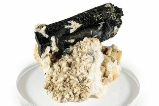 Lustrous Black Tourmaline (Schorl) Crystal on Feldspar - Namibia #348769