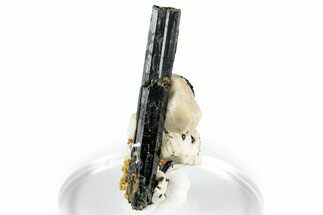 Lustrous Black Aegirine Crystals on Feldspar - Malawi #348772