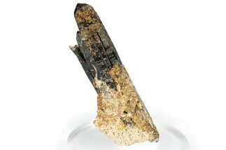 Dark Black Smoky Quartz Crystal Cluster - Malawi #348776