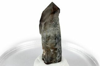 Smoky Quartz Crystal with Black Tourmaline Inclusions - Namibia #348754
