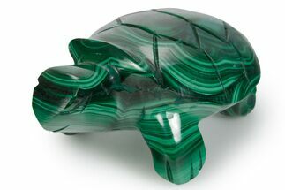 Flowery Malachite Turtle Carving - DR Congo #349347