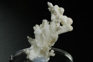 Intricate, Fluorescent Aragonite Formation - Nevada #349547