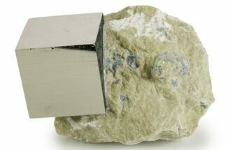 Natural Pyrite Cube In Rock - Navajun, Spain #337876