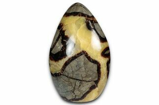 Free-Standing, Polished Septarian - Madagascar #349885