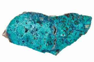 Vibrant Chrysocolla and Shattuckite Slab - Mexico #348732