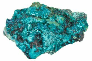 Vibrant Chrysocolla and Shattuckite Section - Mexico #348762