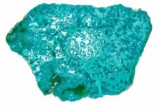 Vibrant Chrysocolla and Shattuckite Section - Mexico #348763