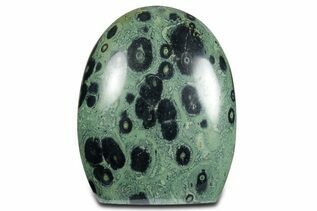 Kambaba Jasper For Sale