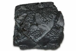 Dragon Scale Stone (Iron, Manganese, Siderite Nodule) #350192