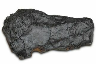 Dragon Scale Stone (Iron, Manganese, Siderite Nodule) #350213